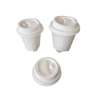 8oz, 12oz, 16oz Bagasse csésze fedéllel