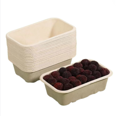 Bagasse téglalap doboz